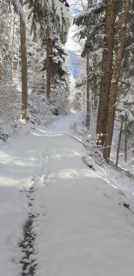 Apartment Sonnenbuechel Wald am Arlberg Kültér fotó