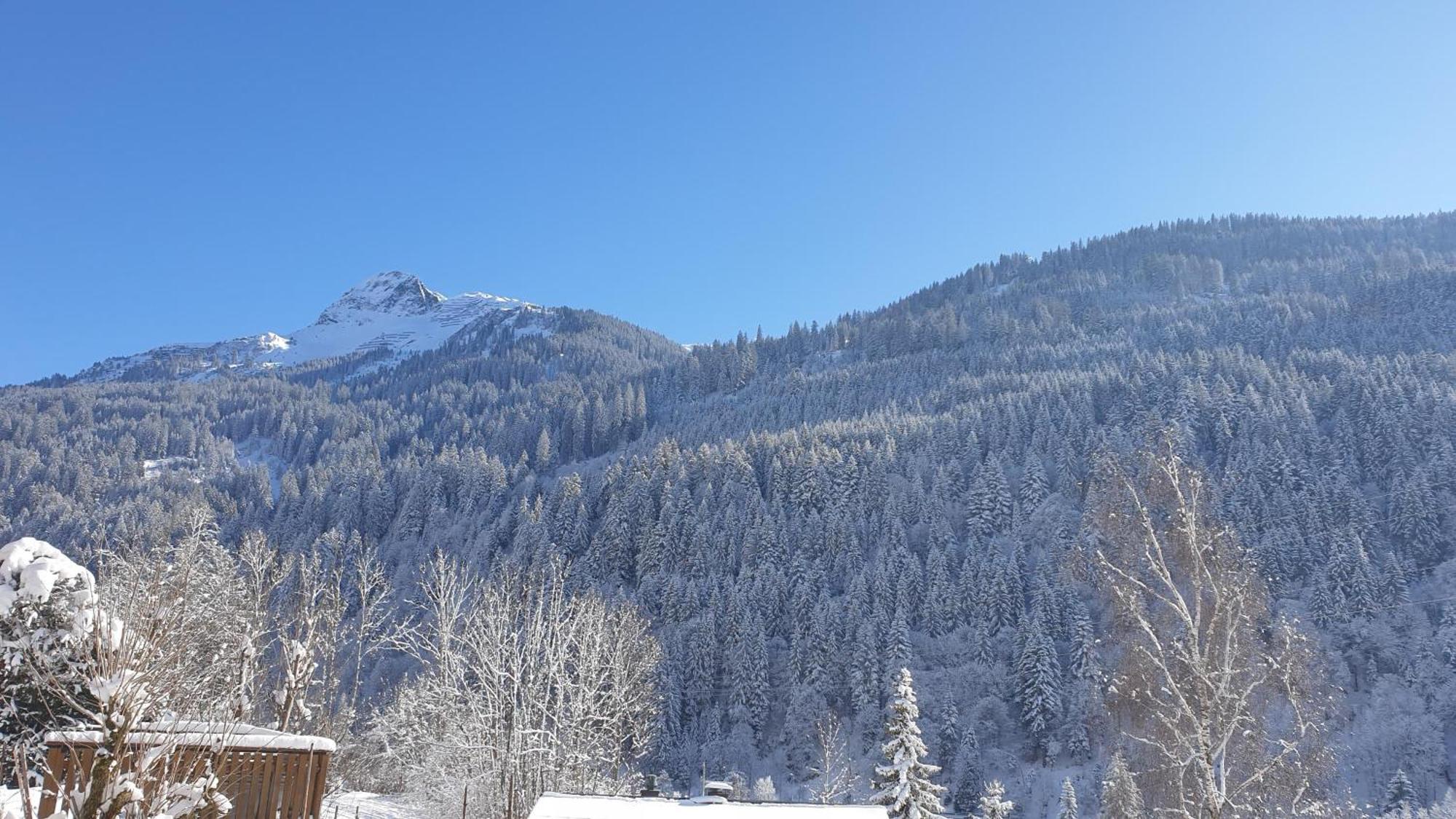 Apartment Sonnenbuechel Wald am Arlberg Kültér fotó